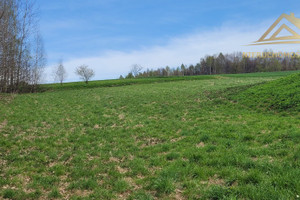 Działka na sprzedaż krakowski Krzeszowice Czerna - zdjęcie 1