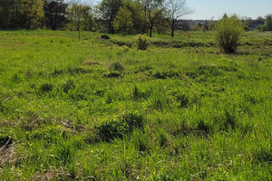 Działka na sprzedaż 3773m2 krakowski Krzeszowice Wola Filipowska - zdjęcie 2