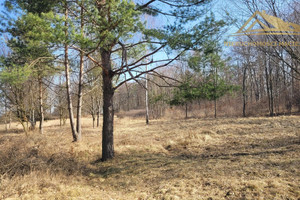 Działka na sprzedaż 3800m2 krakowski Krzeszowice Tenczynek - zdjęcie 2