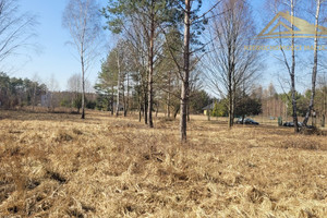 Działka na sprzedaż 3800m2 krakowski Krzeszowice Tenczynek - zdjęcie 3