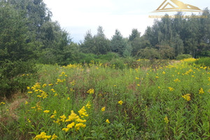 Działka na sprzedaż 78500m2 krakowski Zabierzów Brzoskwinia - zdjęcie 2