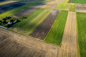 Działka na sprzedaż zamojski Zamość Borowina Sitaniecka - zdjęcie 2