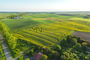 Działka na sprzedaż 10000m2 sztumski Sztum Zajezierze - zdjęcie 3