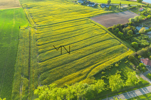 Działka na sprzedaż 10000m2 sztumski Sztum Zajezierze - zdjęcie 2