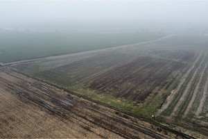 Działka na sprzedaż 36300m2 średzki Malczyce Mazurowice - zdjęcie 3