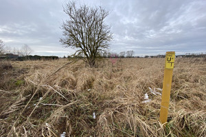 Działka na sprzedaż 1020m2 goleniowski Goleniów Czarna Łąka - zdjęcie 2