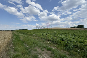 Działka na sprzedaż 2300m2 pyrzycki Bielice - zdjęcie 1