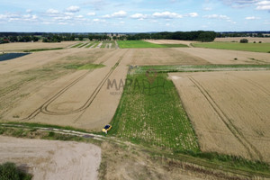 Działka na sprzedaż 2300m2 pyrzycki Bielice - zdjęcie 2