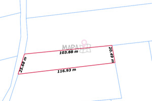 Działka na sprzedaż 2300m2 pyrzycki Bielice - zdjęcie 3