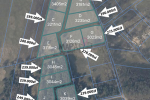 Działka na sprzedaż 3128m2 policki Nowe Warpno Brzózki - zdjęcie 3