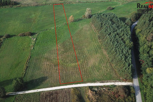 Działka na sprzedaż 5400m2 buski Busko-Zdrój Kotki - zdjęcie 2