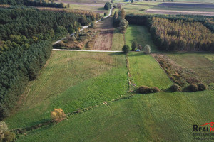 Działka na sprzedaż 5400m2 buski Busko-Zdrój Kotki - zdjęcie 3