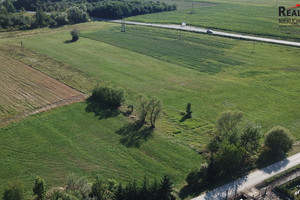 Działka na sprzedaż 3100m2 buski Nowy Korczyn Strożyska - zdjęcie 2