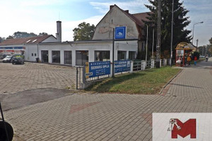 Komercyjne do wynajęcia 200m2 kędzierzyńsko-kozielski Kędzierzyn-Koźle B. Chrobrego - zdjęcie 2