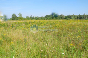 Działka na sprzedaż 1000m2 nowodworski Czosnów Adamówek - zdjęcie 1