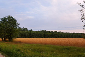 Działka na sprzedaż 1080m2 ciechanowski Ciechanów WOLA MŁOCKA - zdjęcie 3