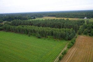 Działka na sprzedaż 2990m2 pułtuski Świercze Klukówek - zdjęcie 1