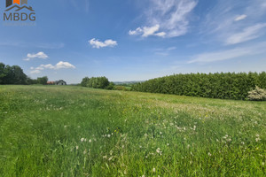 Działka na sprzedaż 8200m2 bocheński Łapanów Zbydniów - zdjęcie 2