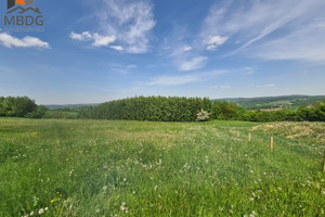 Działka na sprzedaż 8200m2 bocheński Łapanów Zbydniów - zdjęcie 1