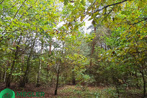 Działka na sprzedaż 4368m2 grodziski Grodzisk Mazowiecki Radonie - zdjęcie 1