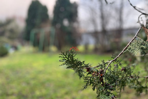 Dom na sprzedaż 173m2 golubsko-dobrzyński Kowalewo Pomorskie Brodnicka - zdjęcie 1