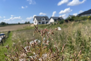 Działka na sprzedaż 1042m2 brodnicki Brzozie Jajkowo - zdjęcie 1