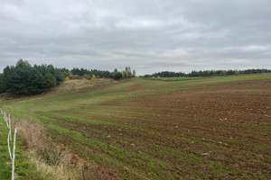 Działka na sprzedaż brodnicki Brodnica Szabda Na Zamek - zdjęcie 2