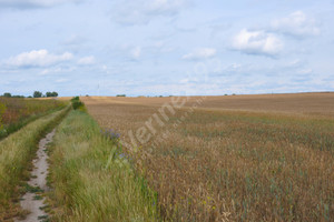 Działka na sprzedaż 23663m2 poznański Tarnowo Podgórne Swadzim - zdjęcie 3