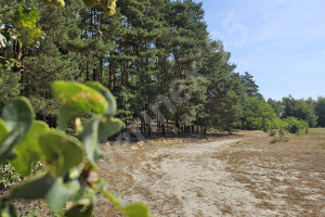 Działka na sprzedaż 90000m2 ostrowski Przygodzice - zdjęcie 3