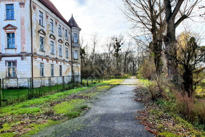 Komercyjne na sprzedaż 3000m2 średzki Środa Śląska Szczepanów - zdjęcie 3