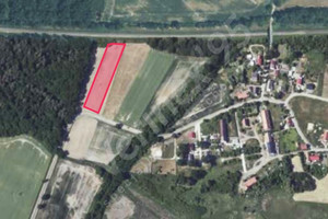 Działka na sprzedaż 5000m2 średzki Malczyce Mazurowice - zdjęcie 2