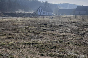 Działka na sprzedaż 1555m2 kartuski Przodkowo Kobysewo Spacerowa - zdjęcie 3