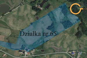 Działka na sprzedaż 110000m2 kartuski Somonino Kamela - zdjęcie 2