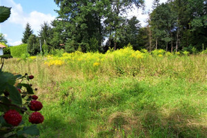 Działka na sprzedaż 10145m2 Warszawa Wilanów Powsin - zdjęcie 2