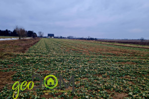 Działka na sprzedaż 1877m2 lubelski Wólka Pliszczyn - zdjęcie 3