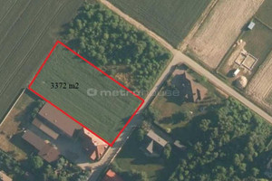 Działka na sprzedaż 3372m2 pabianicki Lutomiersk Kazimierz - zdjęcie 4