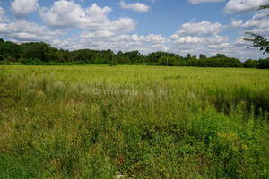 Działka na sprzedaż 23900m2 nowodworski Pomiechówek Stanisławowo - zdjęcie 3