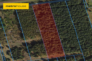 Działka na sprzedaż 12439m2 Biała Podlaska Sokulska - zdjęcie 1