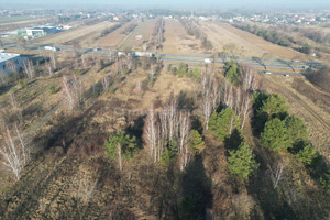 Działka na sprzedaż 23126m2 nowodworski Czosnów Łomna Gdańska - zdjęcie 2