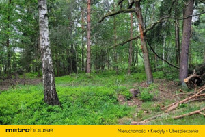 Działka na sprzedaż 25450m2 wieluński Osjaków Józefina - zdjęcie 2