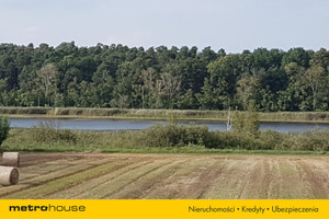 Działka na sprzedaż 39120m2 poznański Stęszew Wielka Wieś Bukowska - zdjęcie 2