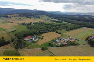 Komercyjne na sprzedaż 850m2 kłodzki Szczytna Niwa - zdjęcie 2