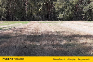 Działka na sprzedaż 6264m2 siedlecki Skórzec Dobrzanów - zdjęcie 2