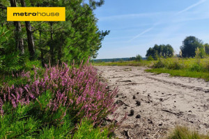 Działka na sprzedaż wołomiński Poświętne Helenów - zdjęcie 1