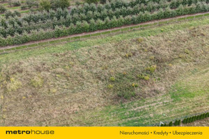 Działka na sprzedaż grójecki Chynów Wola Żyrowska - zdjęcie 3