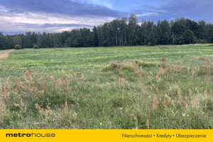 Działka na sprzedaż 65709m2 przasnyski Chorzele Zdziwój Stary - zdjęcie 2