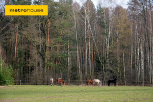 Działka na sprzedaż piotrkowski Wolbórz Leonów - zdjęcie 1