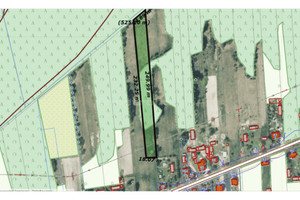 Działka na sprzedaż 4900m2 konecki Stąporków Adamek - zdjęcie 3