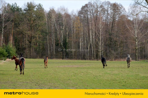 Działka na sprzedaż piotrkowski Wolbórz Leonów - zdjęcie 2