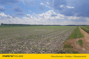 Działka na sprzedaż 15397m2 bialski Biała Podlaska Sławacinek Stary - zdjęcie 2